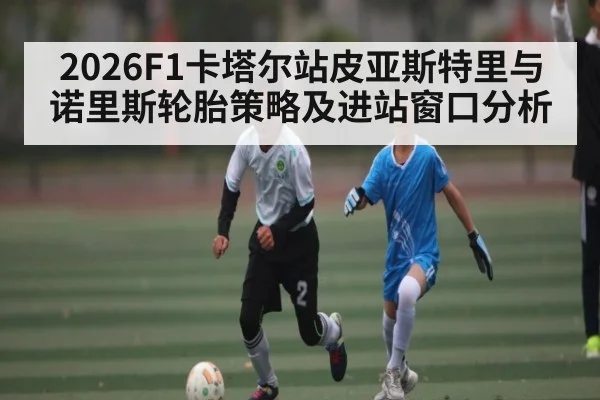 2026F1卡塔尔站皮亚斯特里与诺里斯轮胎策略及进站窗口分析